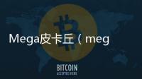 Mega皮卡丘（mega進(jìn)化皮卡丘）