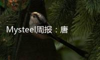 Mysteel周報：唐山型鋼價格趨強周內成交一般