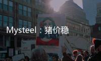 Mysteel：豬價穩中走跌，短期市場供需格局難變