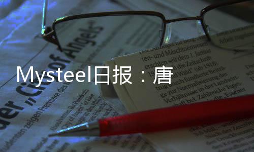 Mysteel日報：唐山型鋼價格趨弱運行整體成交偏弱