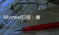 Mysteel日報：唐山型鋼價格持穩運行成交偏弱