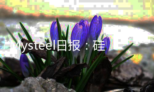 Mysteel日報：硅錳盤面修復廠家借機套保