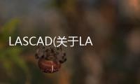 LASCAD(關于LASCAD簡述)