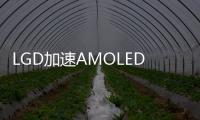 LGD加速AMOLED生產線擴張 中國成韓國LCD設備重要市場,行業資訊