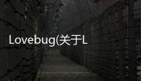 Lovebug(關于Lovebug簡述)