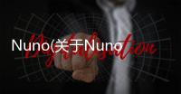 Nuno(關于Nuno簡述)