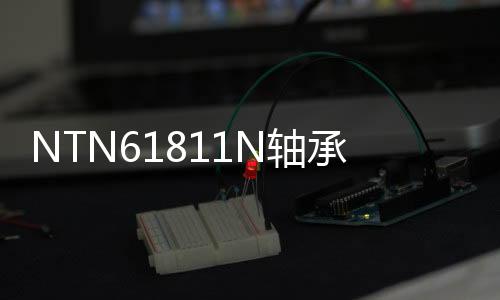 NTN61811N軸承(關于NTN61811N軸承簡述)