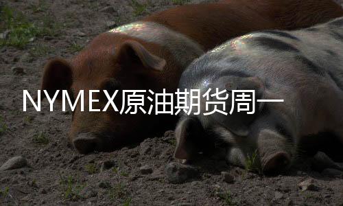 NYMEX原油期貨周一小幅收高