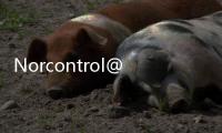 Norcontrol@NN 791.12