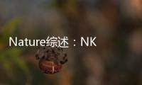 Nature綜述：NK細胞抗癌 這些發展方向值得關注