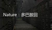 Nature：多巴胺回路介導的短暫遺忘機制被發掘