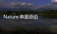 Nature:單里德伯原子的可調節二維排列實現量子伊辛模型 – 材料牛