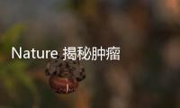 Nature 揭秘腫瘤細(xì)胞“休眠”機制 有效預(yù)防轉(zhuǎn)移癌