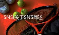 SNS(關于SNS簡述)