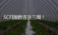 SCFI指數連漲三周！集裝箱航運公司醞釀明年漲價