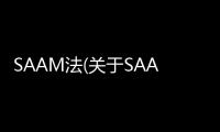 SAAM法(關于SAAM法簡述)