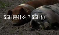 SSH是什么？SSH協(xié)議基本用法詳解及解決的問題