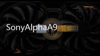 SonyAlphaA99集Sony影像科技大成的全幅猛獸