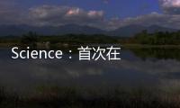 Science：首次在二維材料中發現了強電子相關性的直接證據 – 材料牛