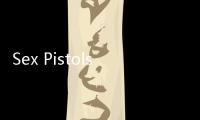 Sex Pistols（關于Sex Pistols的基本情況說明介紹）