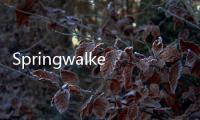 Springwalker外骨骼(關于Springwalker外骨骼簡述)