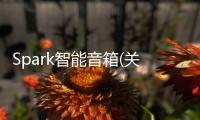 Spark智能音箱(關于Spark智能音箱簡述)