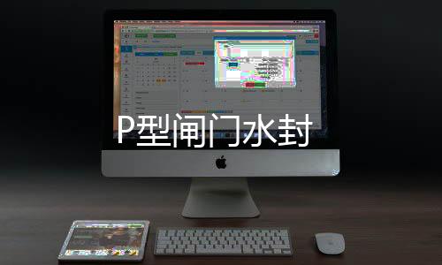 P型閘門水封