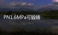 PN1.6MPa可鍛鑄鐵管法蘭蓋(關于PN1.6MPa可鍛鑄鐵管法蘭蓋簡述)