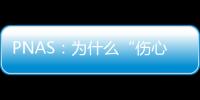 PNAS：為什么“傷心的人別聽慢歌”？