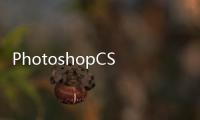 PhotoshopCS2網頁設計白金手冊(關于PhotoshopCS2網頁設計白金手冊簡述)