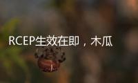 RCEP生效在即，木瓜移動助力跨境電商開啟滿血加速模式