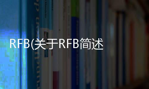 RFB(關于RFB簡述)