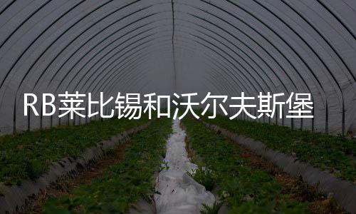 RB萊比錫和沃爾夫斯堡：誰在足壇更具實(shí)力和潛力?