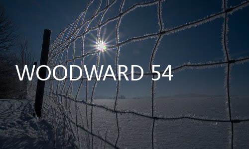 WOODWARD 5466