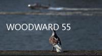 WOODWARD 5501