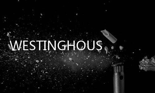 WESTINGHOUSE 1C31169G02