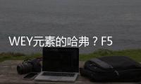 WEY元素的哈弗？F5這樣定調F序列