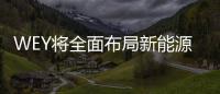 WEY將全面布局新能源領(lǐng)域 明年推4款新車