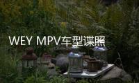 WEY MPV車型諜照曝光 預計今年上市