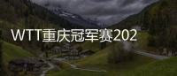 WTT重慶冠軍賽2025抽簽結果,男單女單簽表一覽