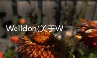 Welldon(關于Welldon簡述)