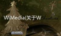 WiMedia(關于WiMedia簡述)