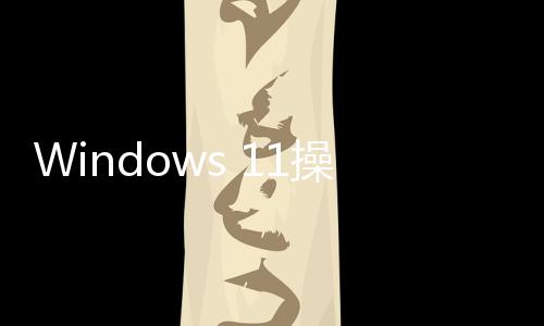 Windows 11操作系統(tǒng)迎來Windows Media Player媒體播放器更新