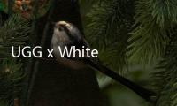 UGG x White Mountaineering 2019 秋冬聯名鞋款系列曝光