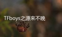 TFboys之源來不晚 一心向晴(關于TFboys之源來不晚 一心向晴簡述)