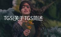 TGS(關于TGS簡述)