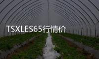 TSXLES65行情價格