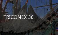 TRICONEX 3636T