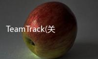 TeamTrack(關于TeamTrack簡述)