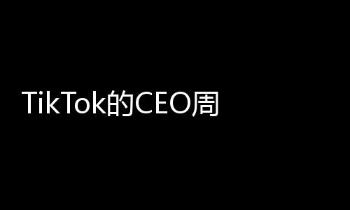 TikTok的CEO周受資對美國眾議院表示失望